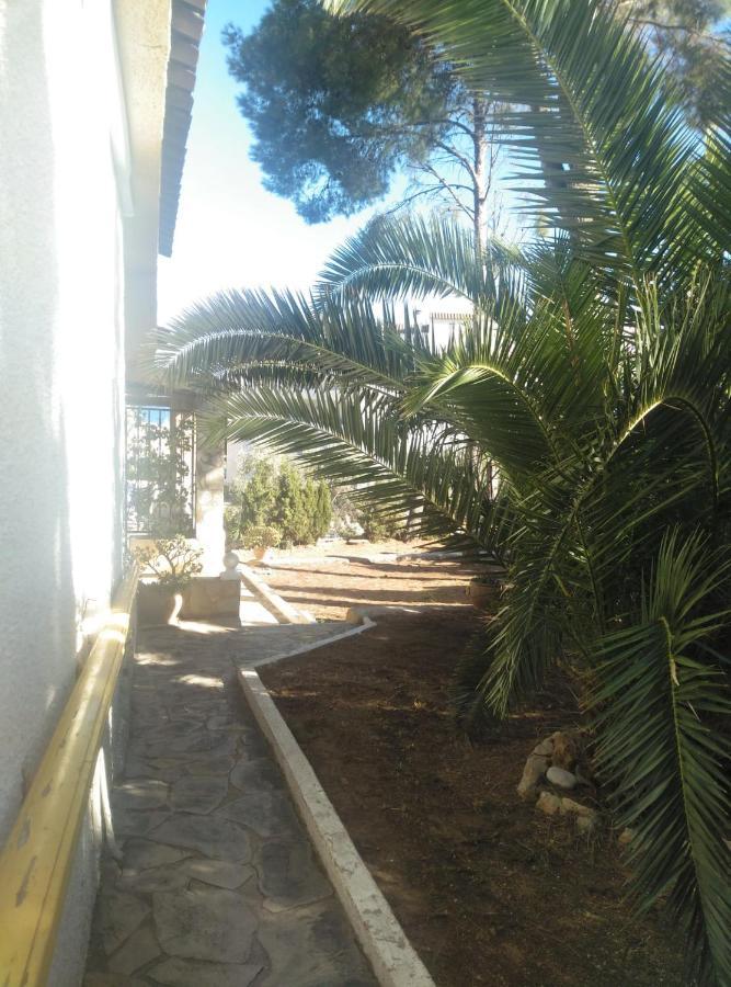 Villa Carmen - Chalet Privado Con Piscina, Jardin Y Barbacoa Alcossebre Екстериор снимка